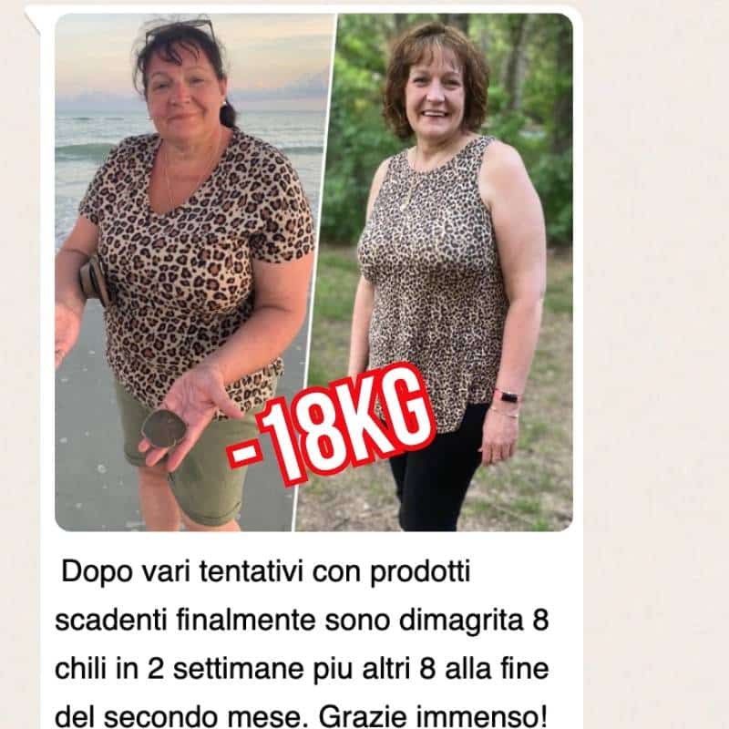 wapp 6