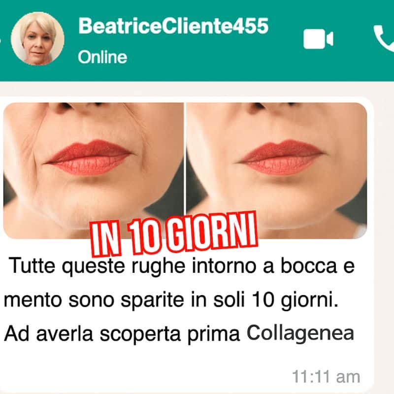 coll_wapp_14